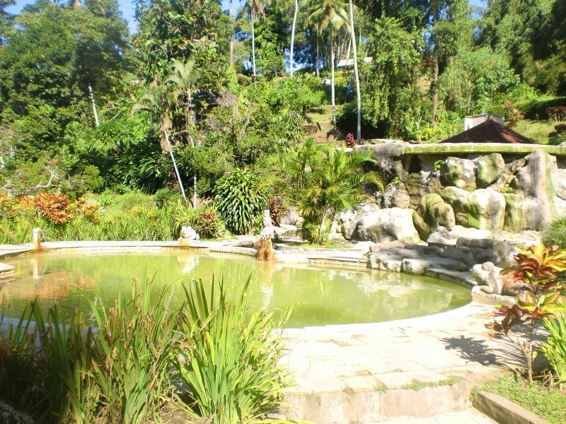 Yeh Panes Bali Hotel Marga Buitenkant foto