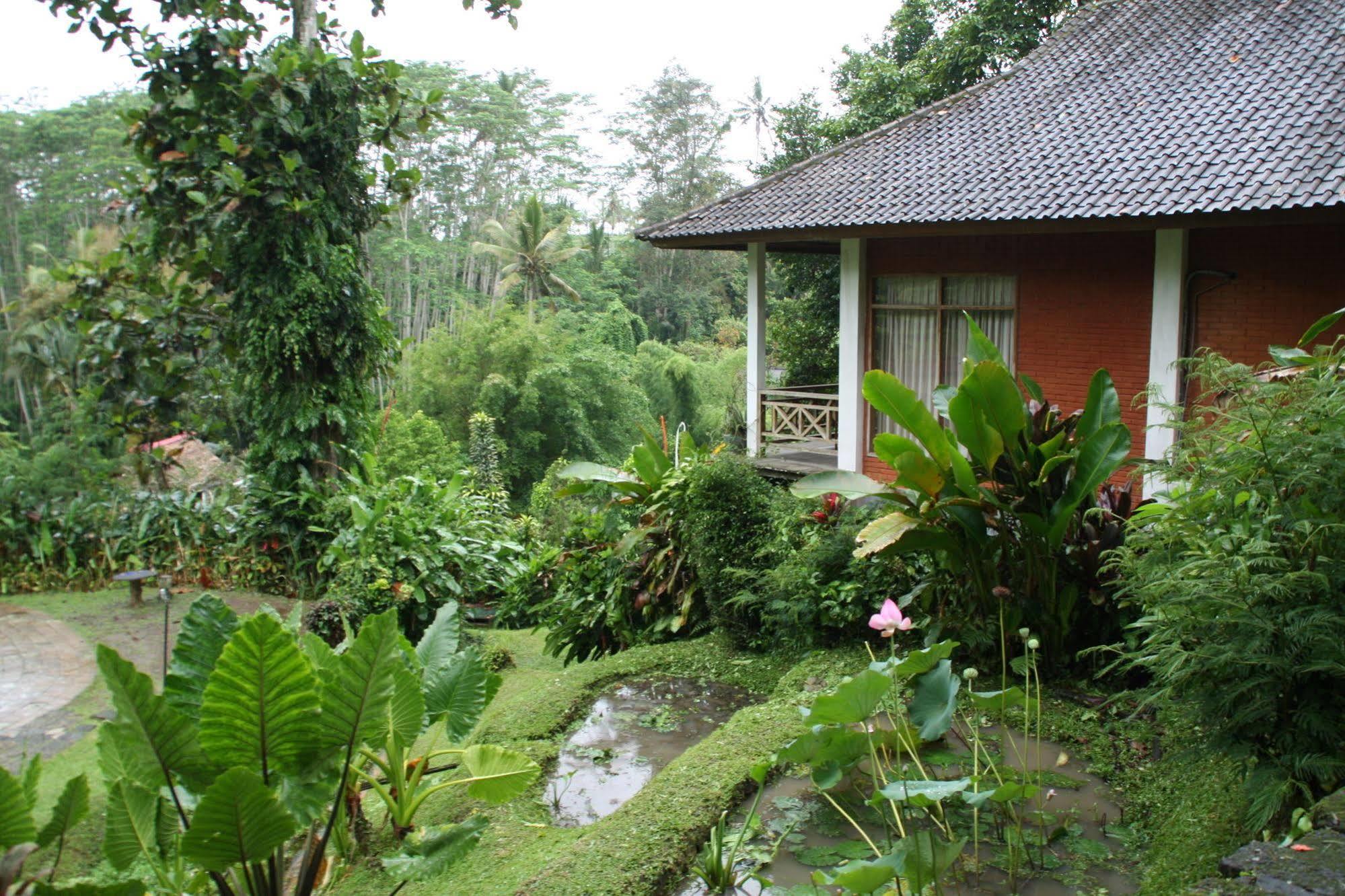 Yeh Panes Bali Hotel Marga Buitenkant foto